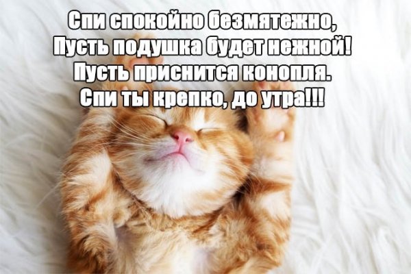 Смешные пожелания спокойной ночи