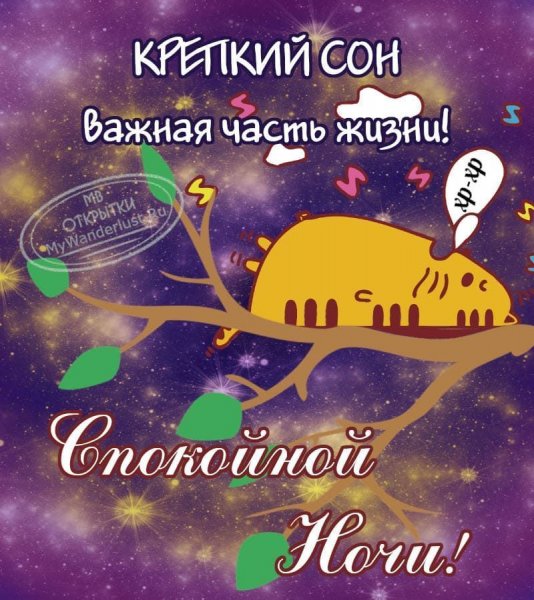Спокойной ночи прикольные
