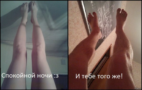 Спокойной ночи прикол