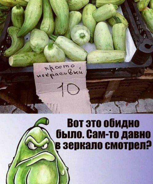 Приколы про кабачки