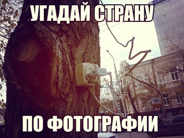 Прикольные картинки для поднятия настроения