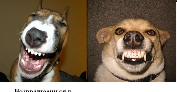 Приколы для поднятия настроения с надписями