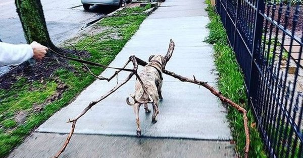 Угарные картинки до слез для настроения