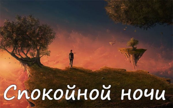 Спокойной ночи прикол юмор