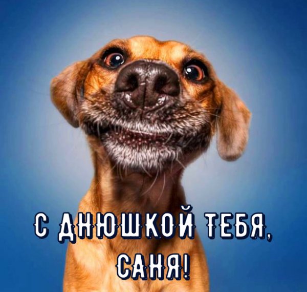 Смешные открытки с днем рождения