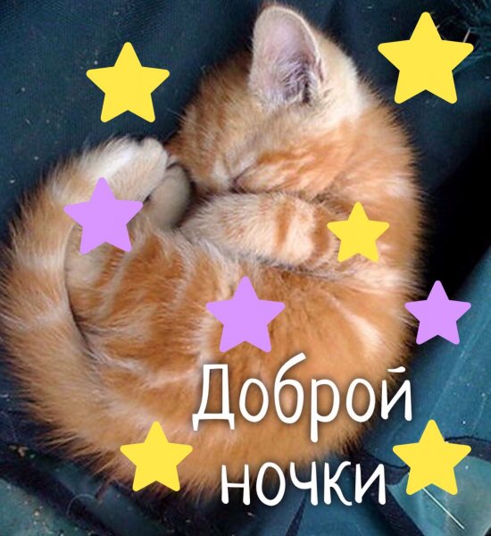 Пожелания спокойной ночи