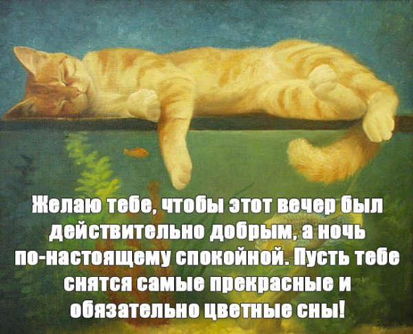 Пожелания спокойной ночи