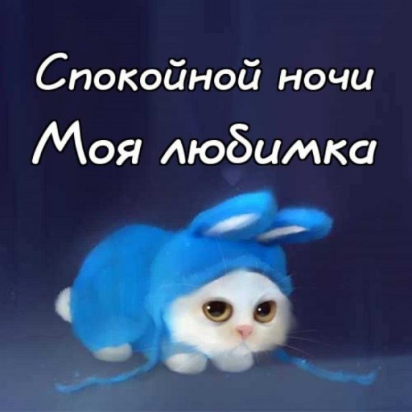 Спокойной ночи ржачные