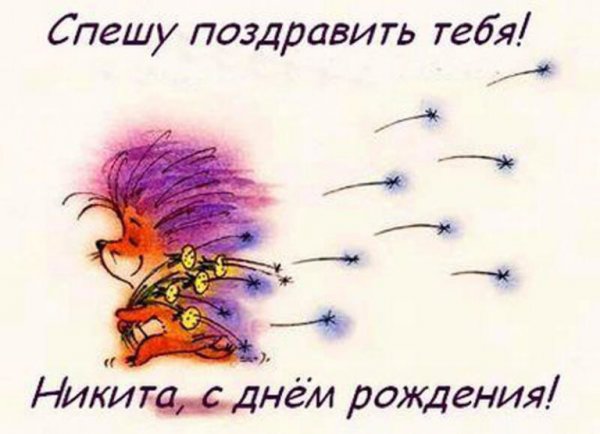 С днём рождения Никита