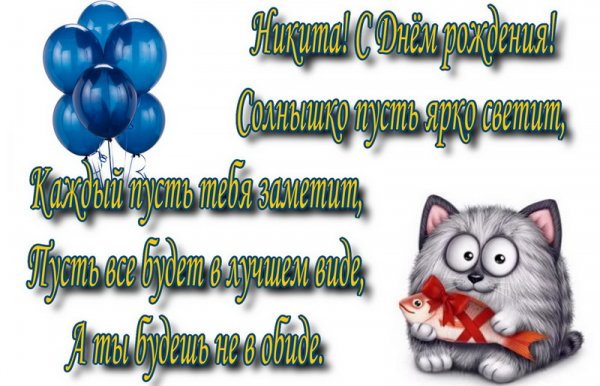 С днём рождения Никита поздравления