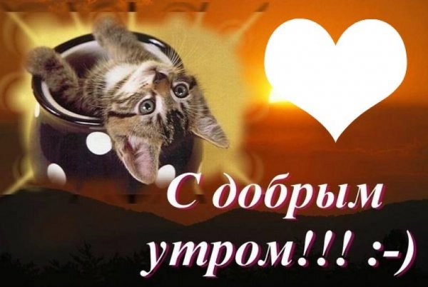Приколы с добрым утром для мужа
