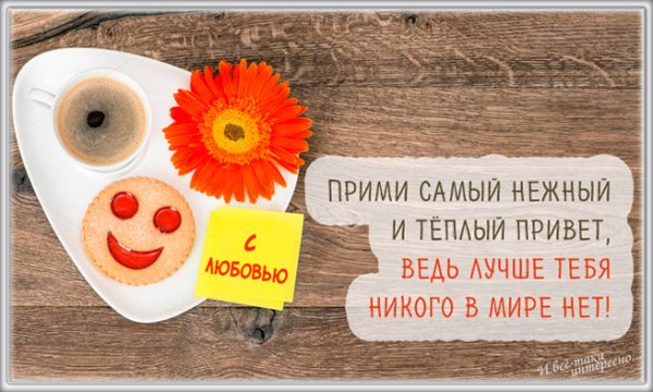 Шуточные пожелания с добрым утром