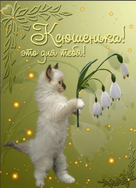 Костюша с днем рождения