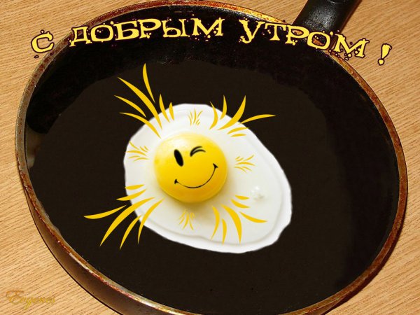 Смешные пожелания доброго утра