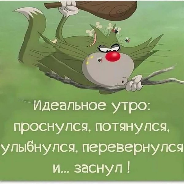 С добрым утром юмор