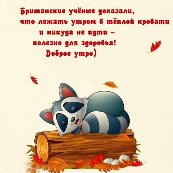 Пожелание доброго утра с юмором