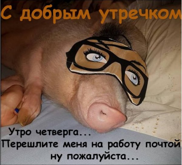 Доброе утро с юмором