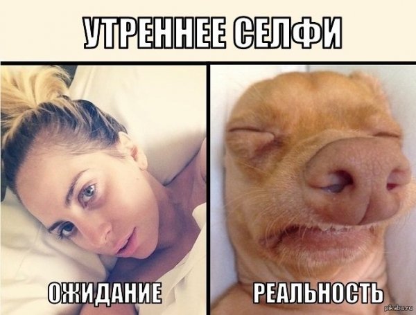 Ожидание реальность