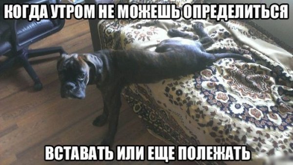 Доброе утро ржачные до слез
