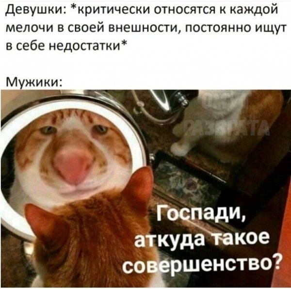 Немного юмора с утра