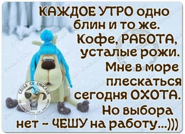 Доброе зимнее утро с юмором