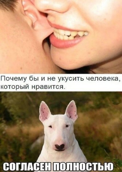 Хочется укусить