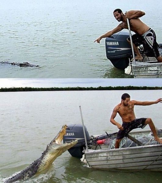 Свежие прикольные картинки