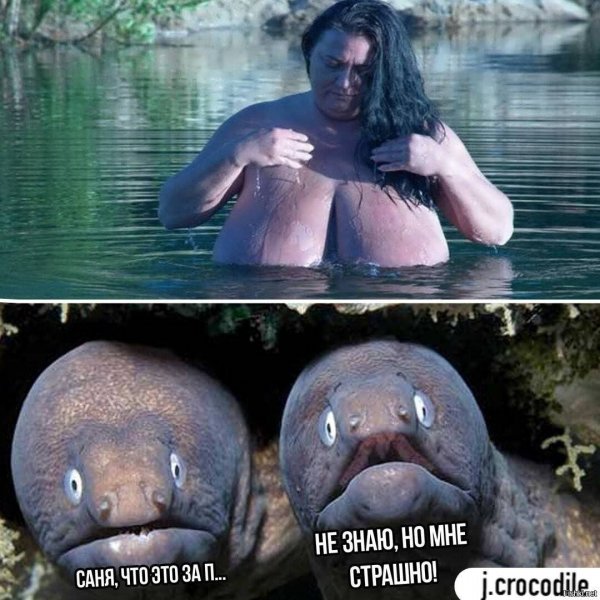 Приколы картинки ржачные