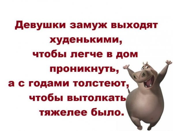 Смешные модераторы с надписями до слёз
