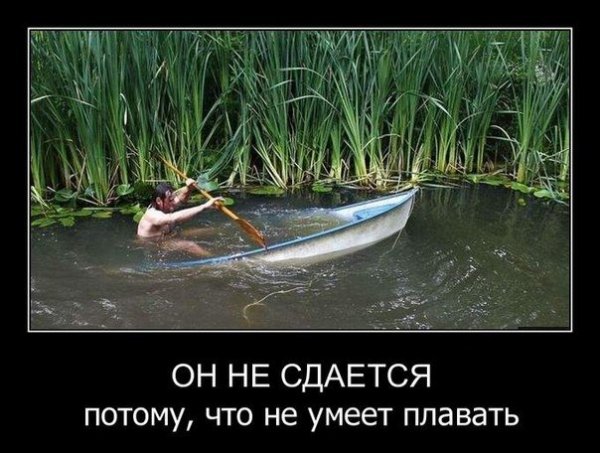 Приколы с надписями про жизнь