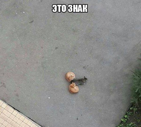 Ржачные надписи до слез