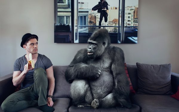 Забавные ситуации