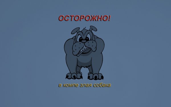Обои на рабочий стол приколы с надписями