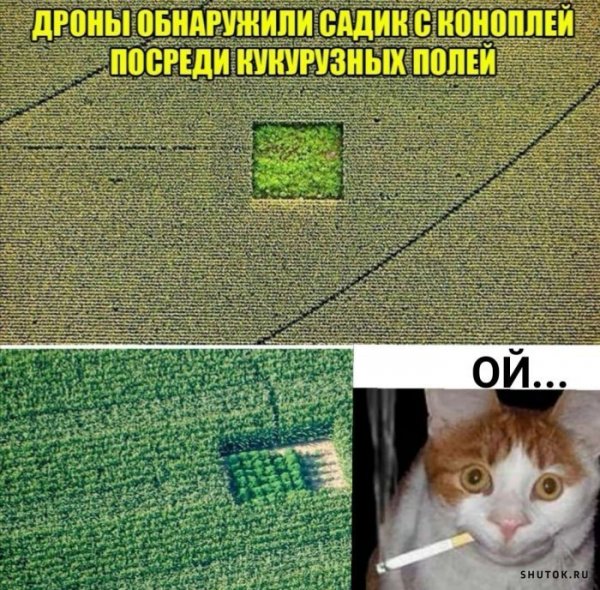 Ржачные приколы