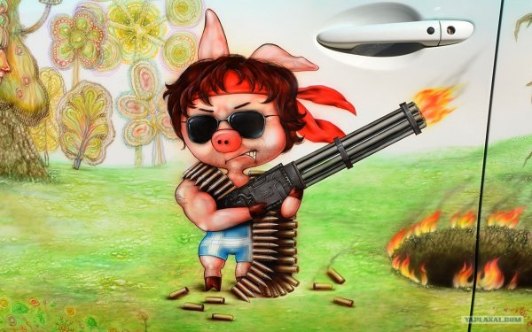 Приколы на речке