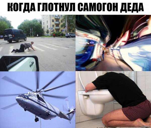 Дурацкие картинки на рабочий стол
