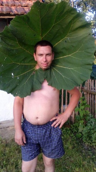 Смешной пацан