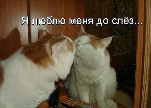 Я люблю себя