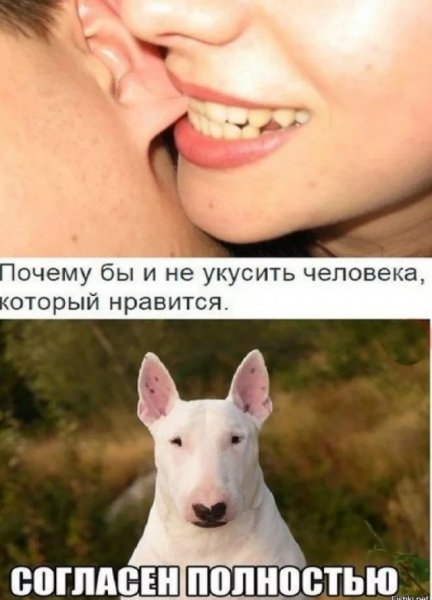 Хочется укусить