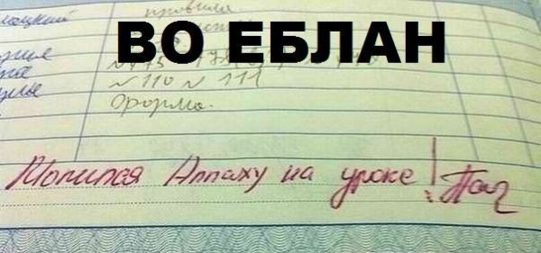 Приколы про учебу