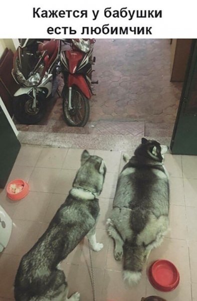 Угарные арты