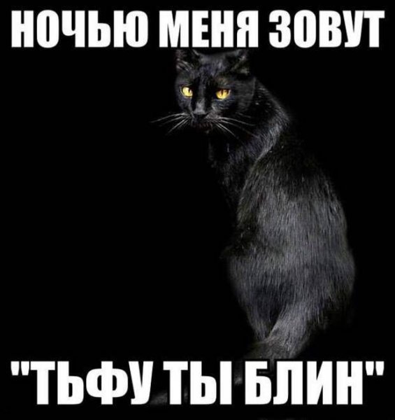 Спокойной ночи обезьяна