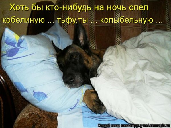 Креативная реклама сон