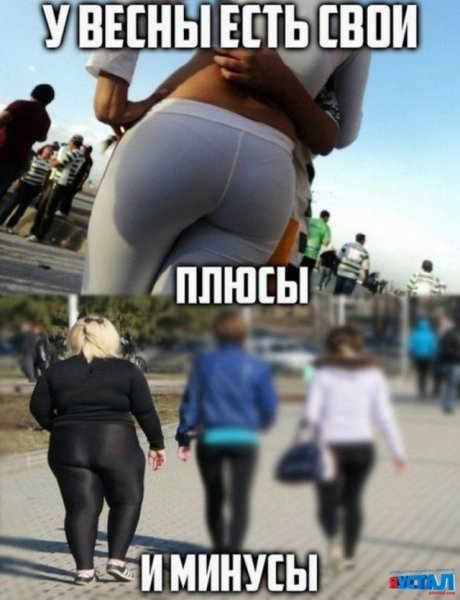 Безумные шутки
