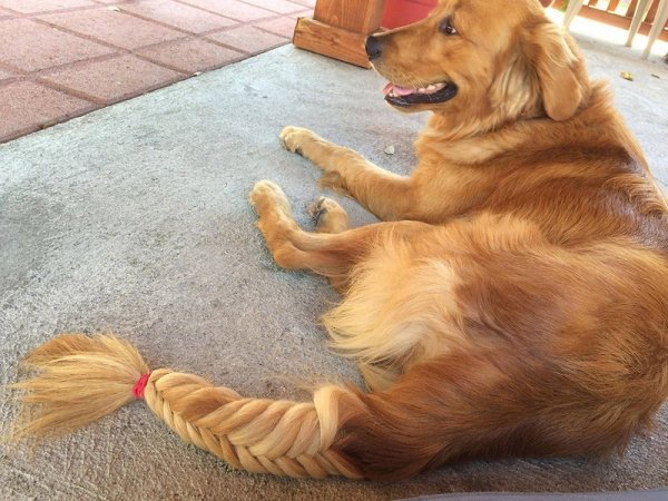 Смешная картинка для поднятия настроения