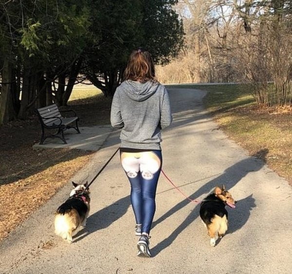 Девушка на прогулке с собакой