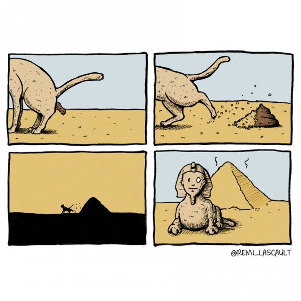 Медики шутят