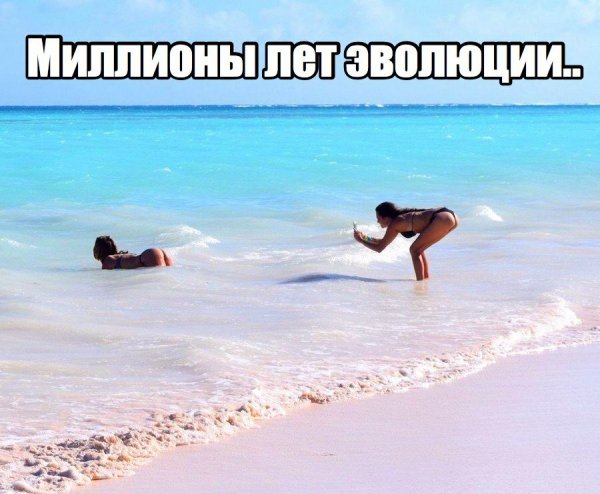 Приколы со смыслом
