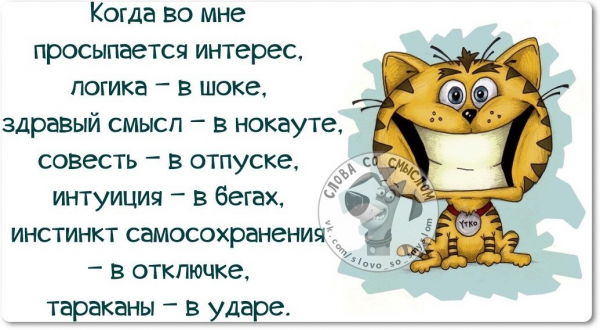 Смешные цитаты со смыслом