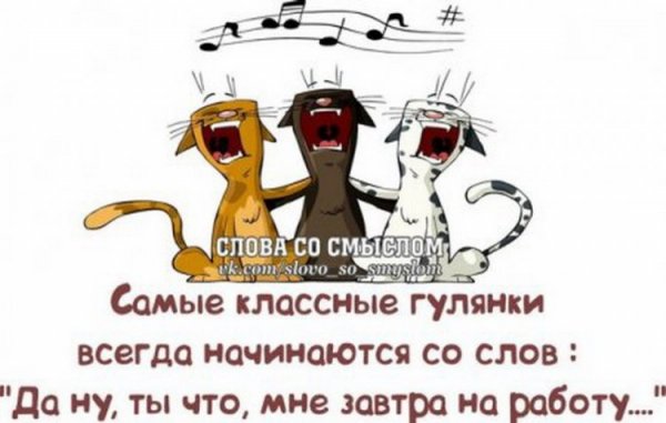 Смешные цитаты со смыслом о жизни Веселые